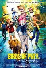 Birds of Prey 2020 Dual Audio Hindi 480p BluRay 300MB FilmyZilla