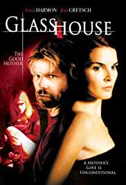 Glass House The Good Mother 2006 Dual Audio Hindi 480p FilmyZilla