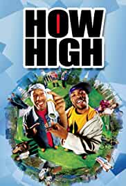 How High 2001 Dual Audio Hindi 480p FilmyZilla