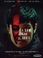 I Saw the Devil 2010 Hindi Dubbed 480p 720p 1080p FilmyZilla