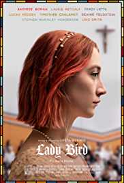 Lady Bird 2017 Dual Audio Hindi 480p 300MB FilmyZilla