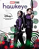 Hawkeye All Seasons Hindi 480p 720p HD Download FilmyZilla  Filmywap